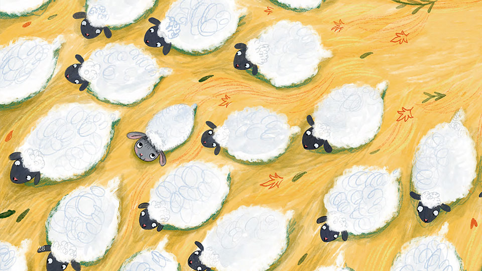 Barnaby with all the other sheep.