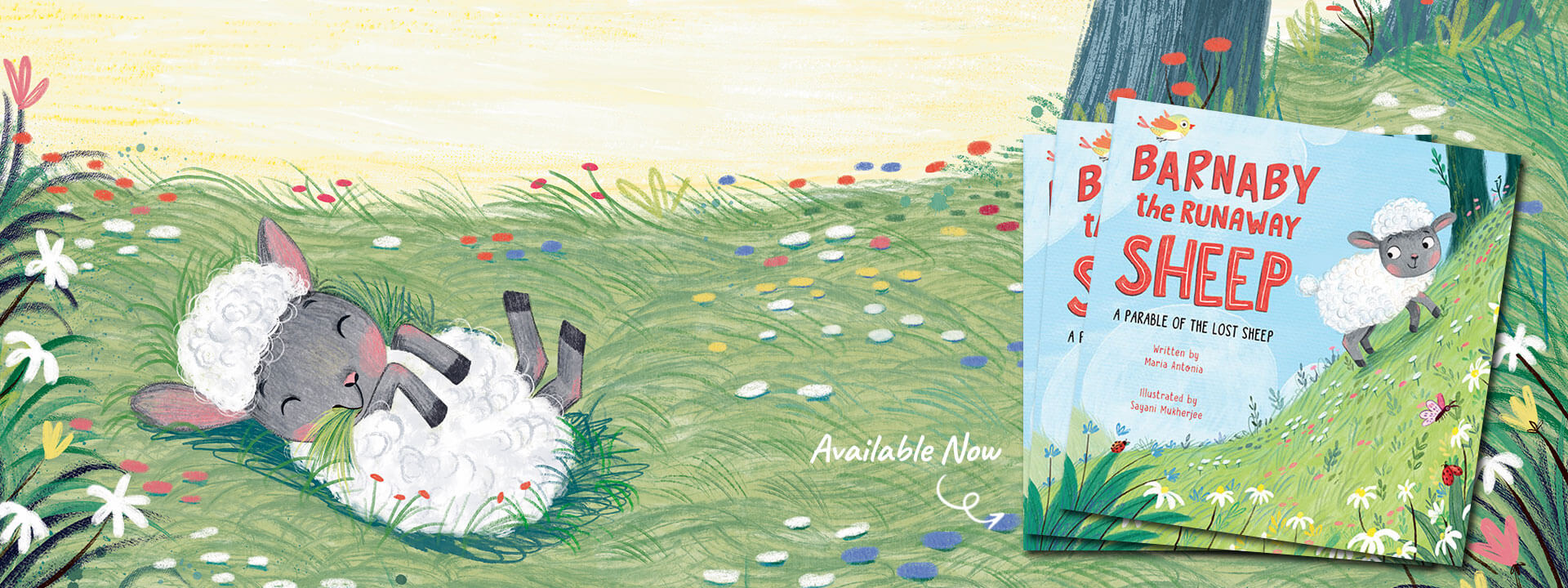 Maria Antonia's picture book, Barnaby the Runaway Sheep, now on sale